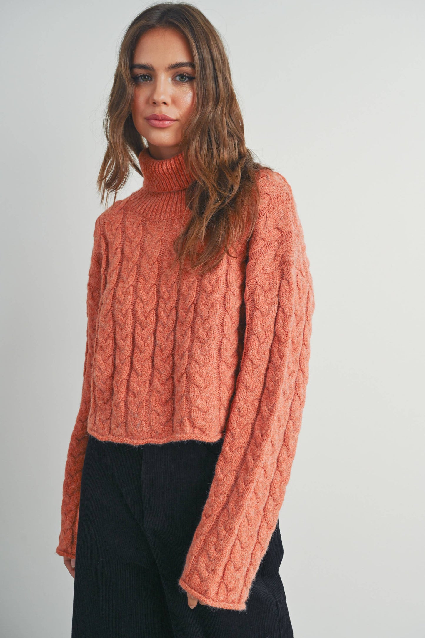 Turtleneck Cable Knit Sweater