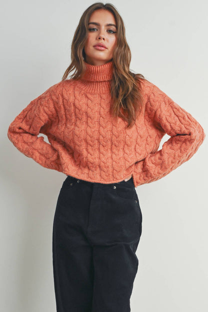 Turtleneck Cable Knit Sweater