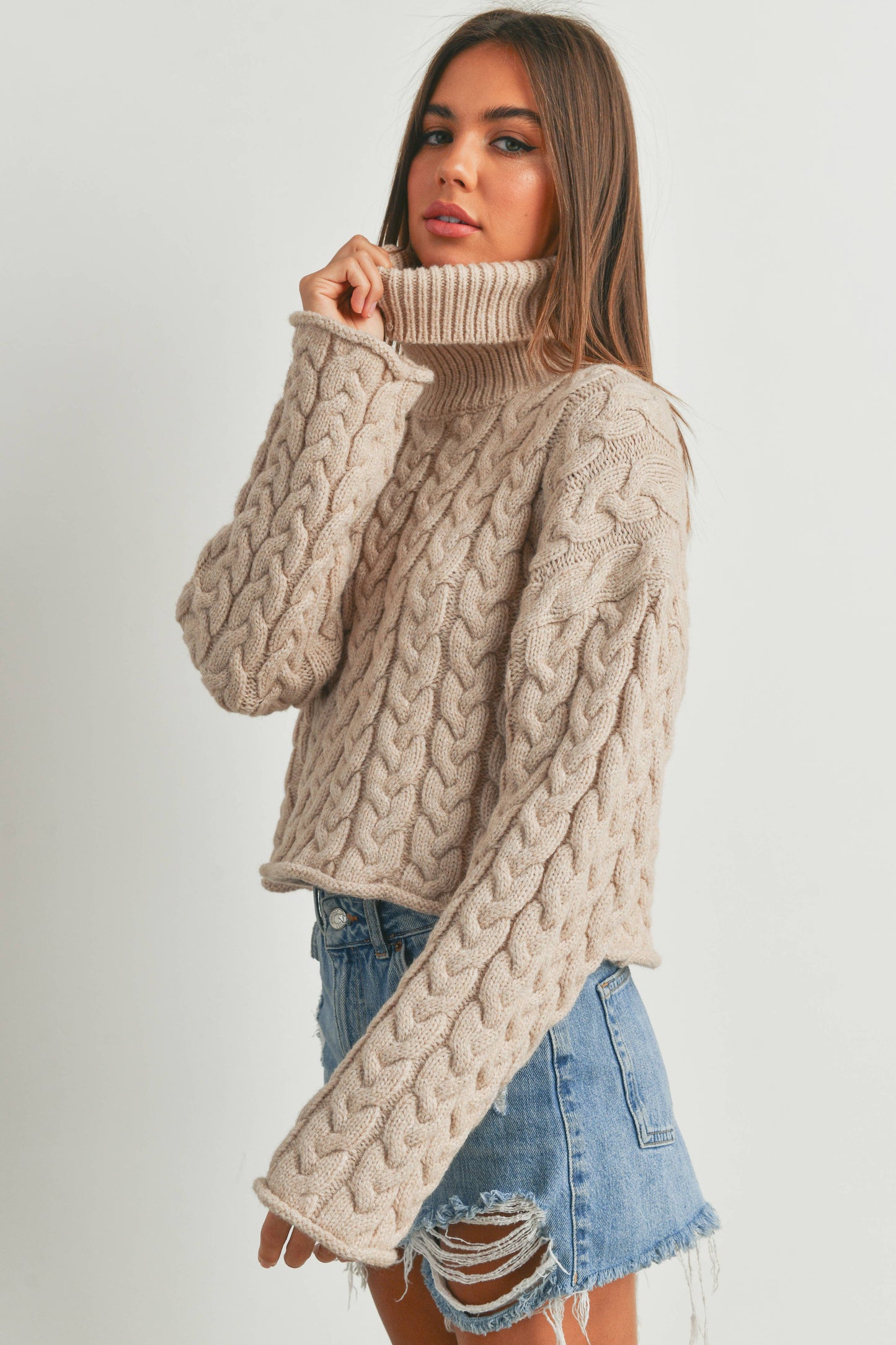 Turtleneck Cable Knit Sweater