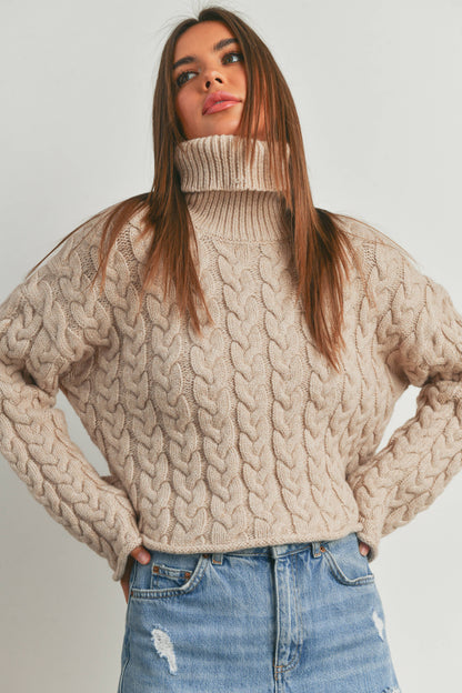 Turtleneck Cable Knit Sweater