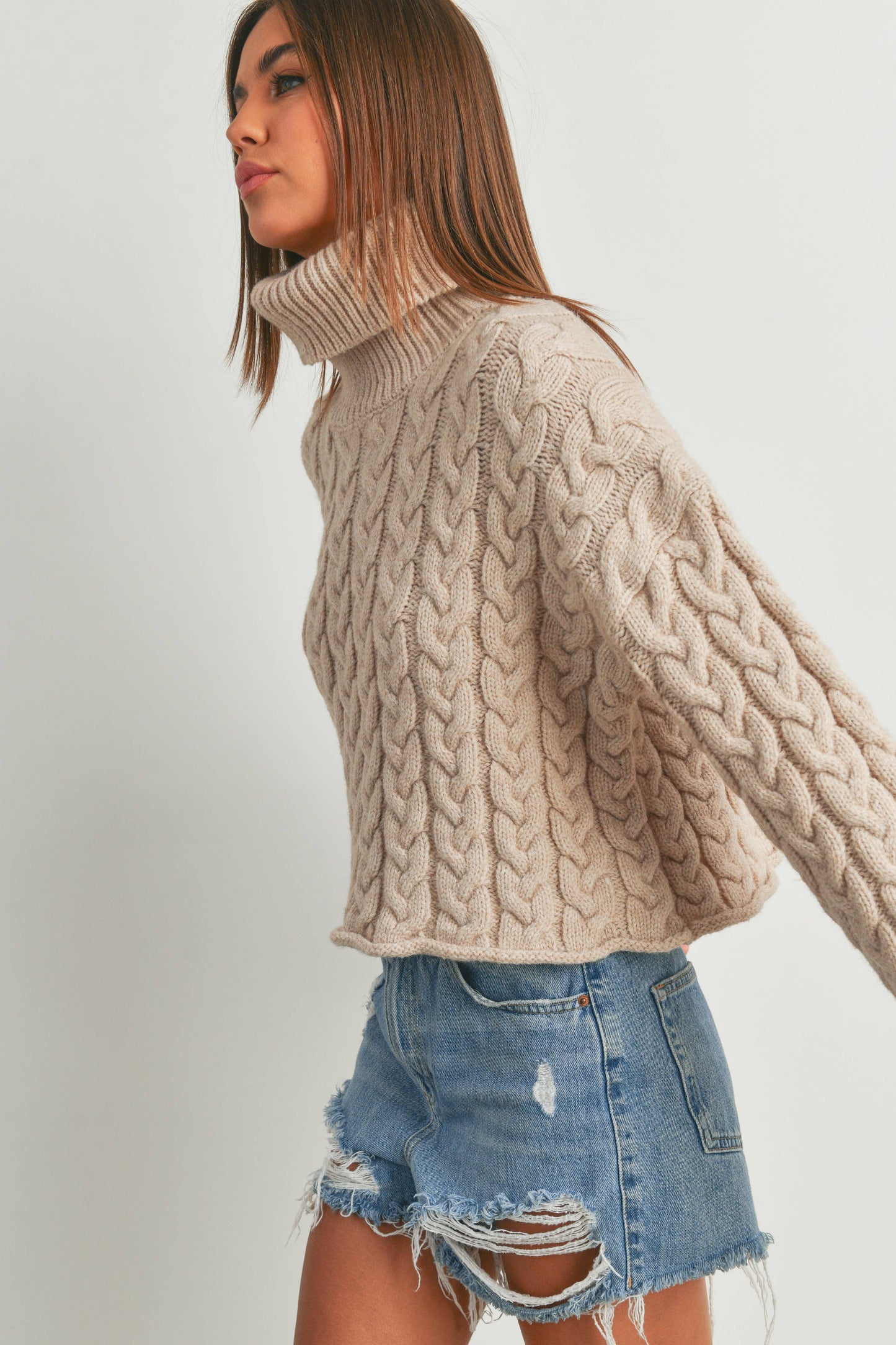 Turtleneck Cable Knit Sweater