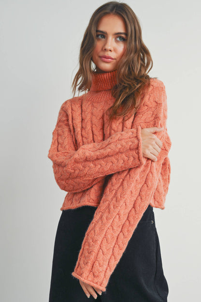 Turtleneck Cable Knit Sweater