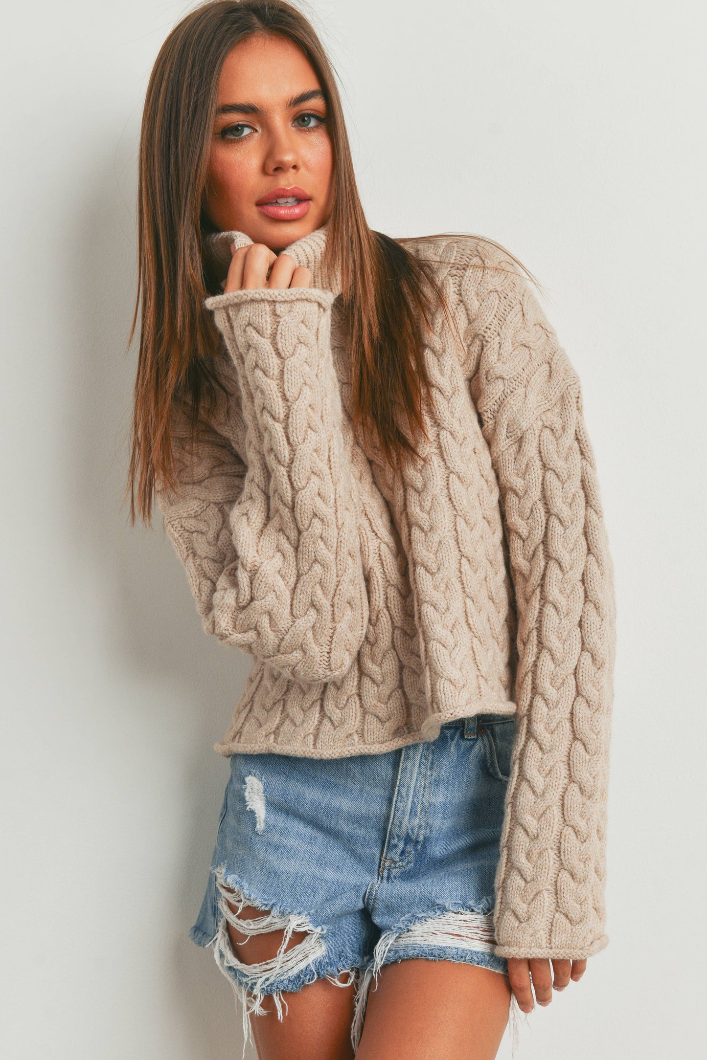 Turtleneck Cable Knit Sweater