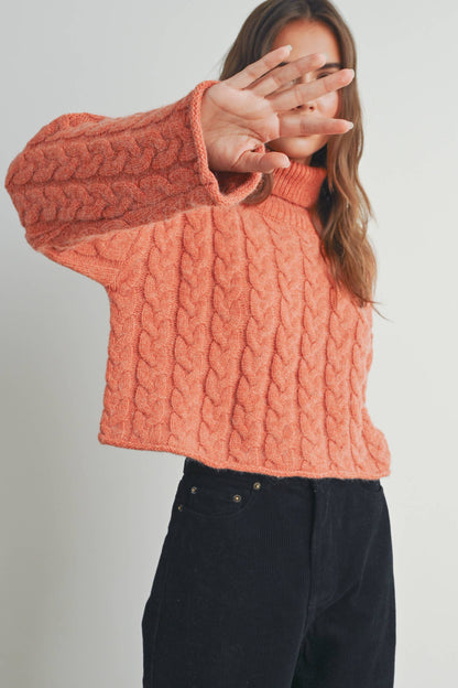 Turtleneck Cable Knit Sweater